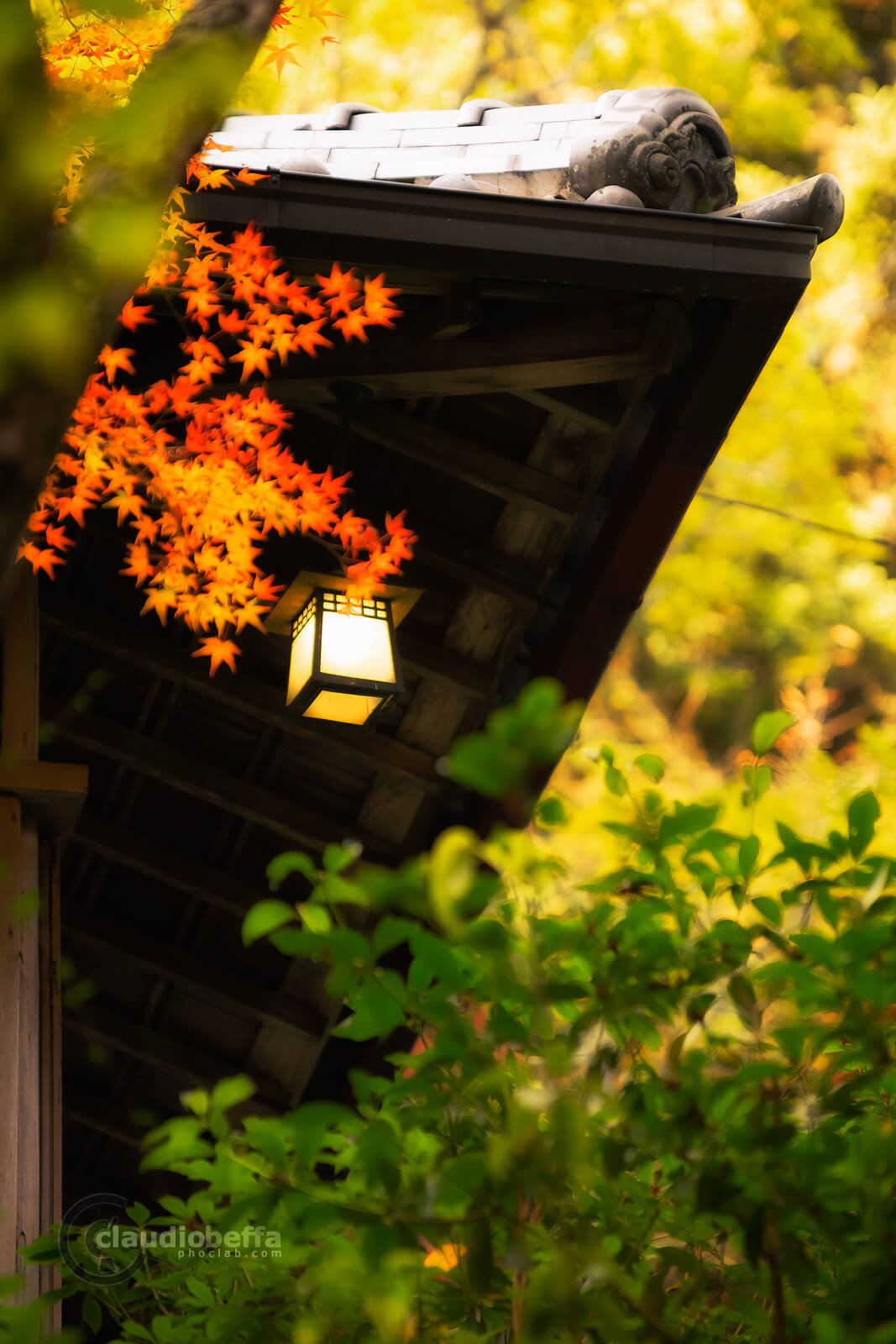 Miyajima, Miyajima autumn, Momijidani, lantern, Japan, Hiroshima, autumn, fall, momiji, island, forest, travel, photography, phoclab