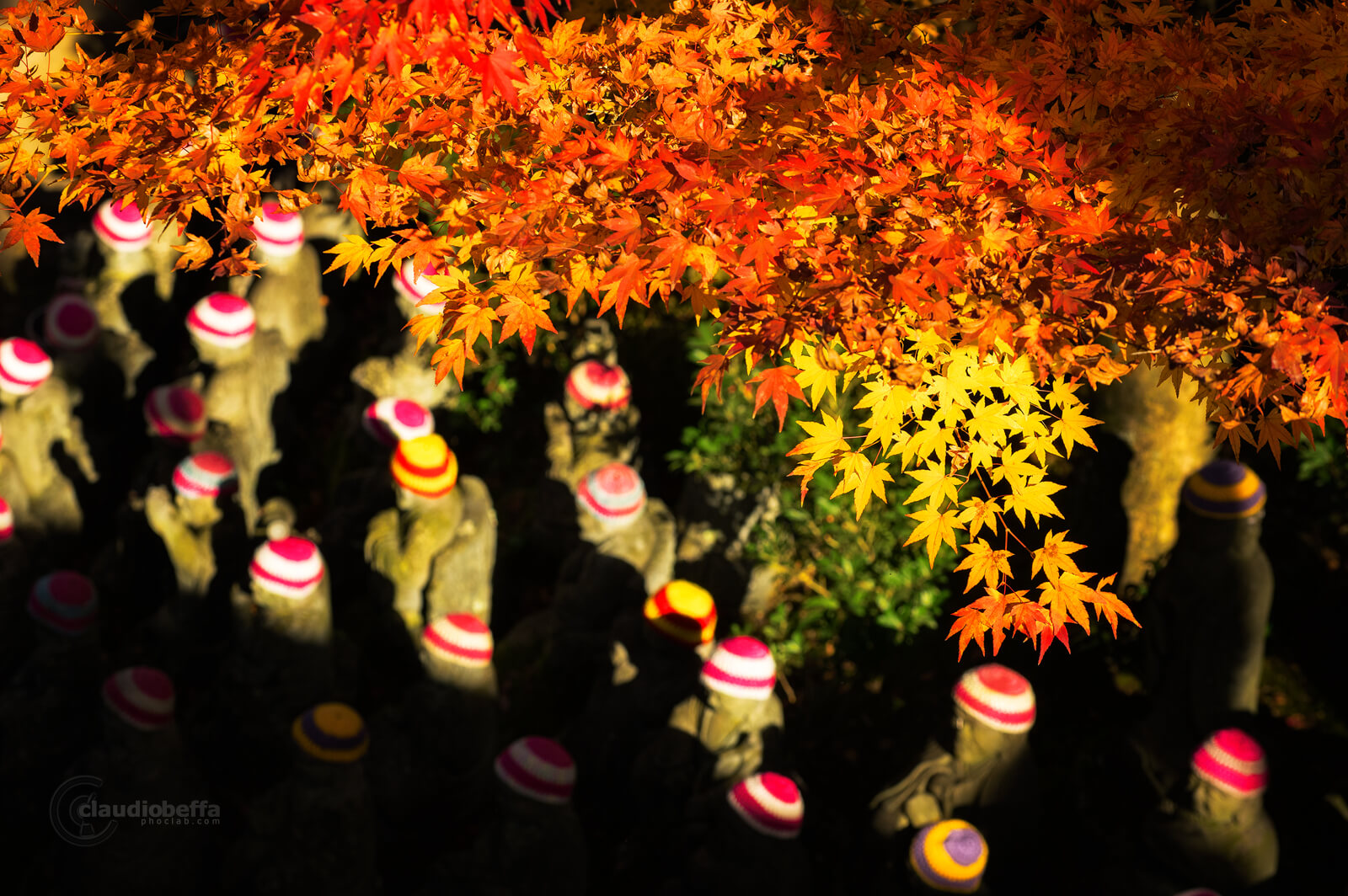 Miyajima, Miyajima autumn, Momijidani, Japan, Hiroshima, autumn, fall, momiji, forest, travel, photography, phoclab