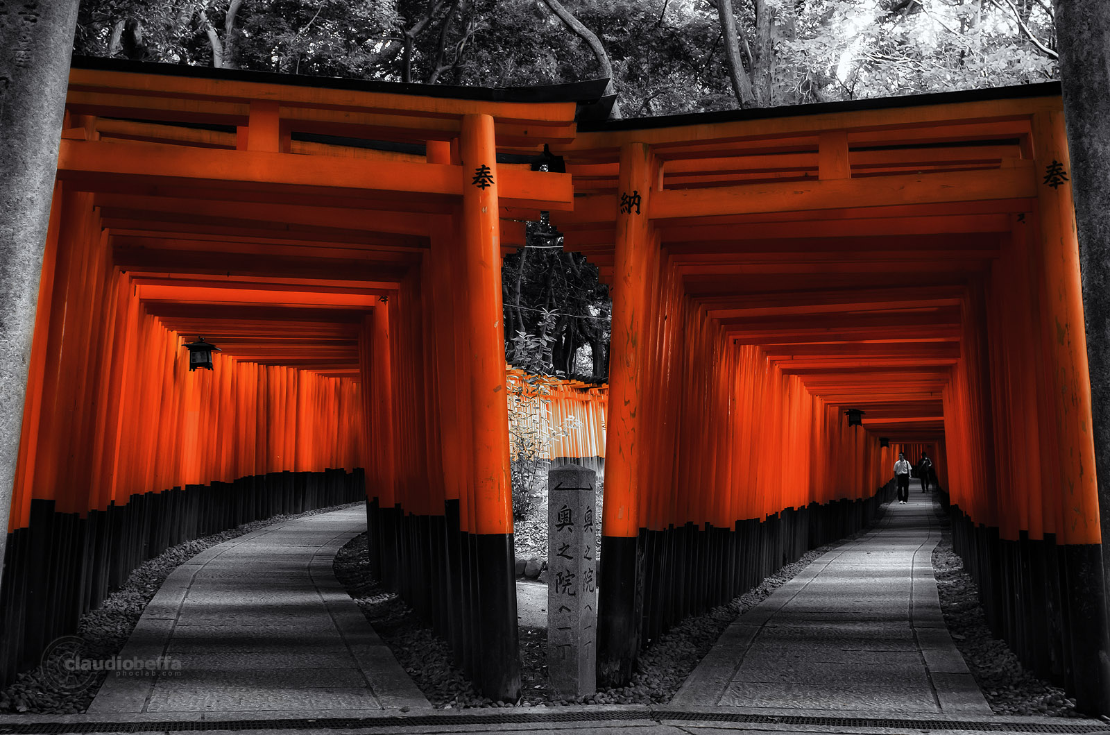 Fushimi Inari Taisha Paths Torii Kyoto