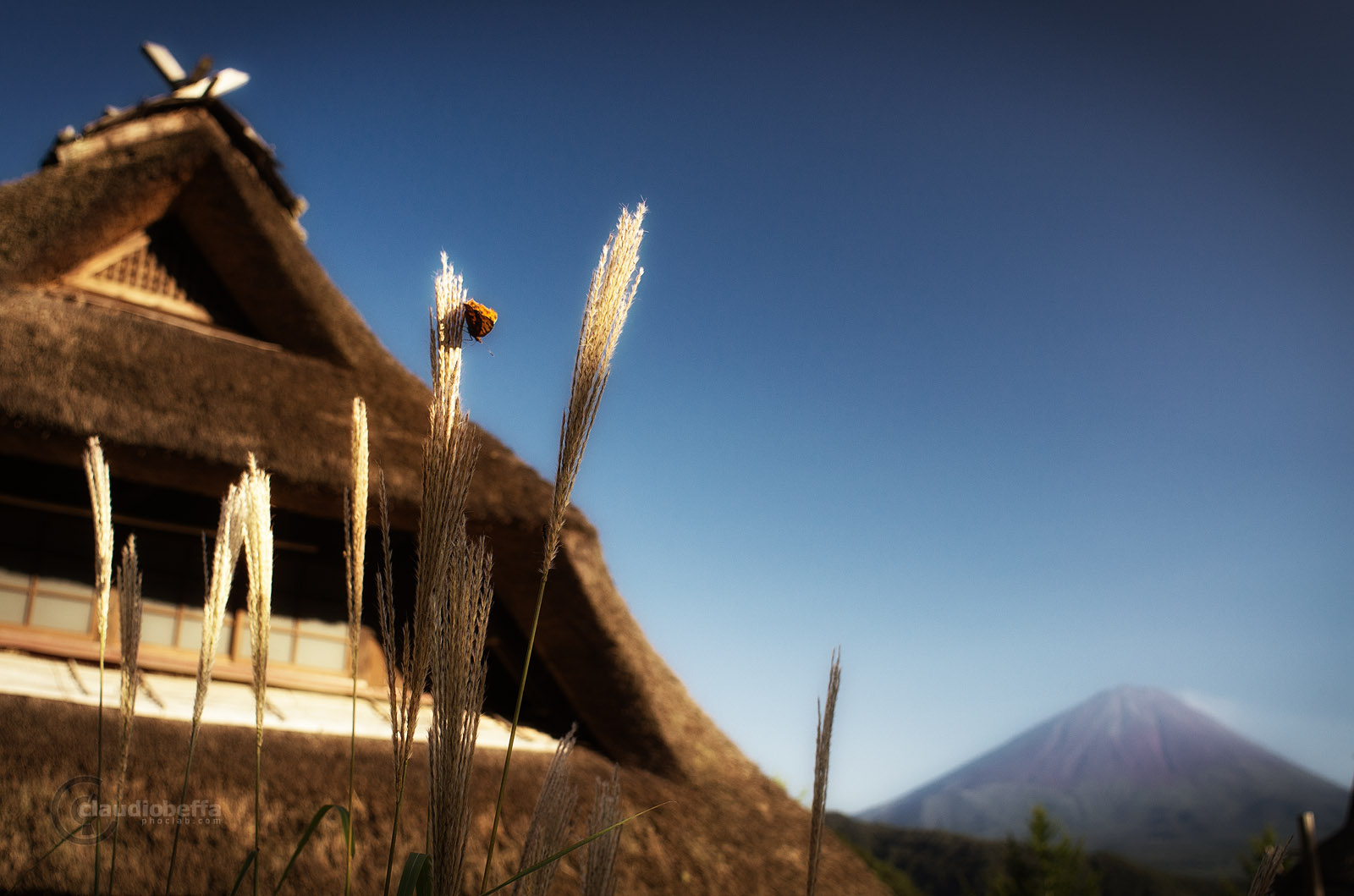 Traditional village butterfly Susuki Fuji sunset Japan