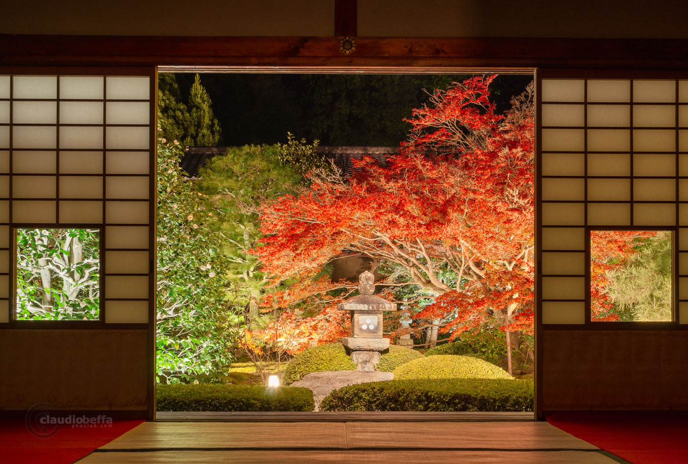 Unryuin Kyoto Lightup Garden Shoji Autumn Momiji Tsubaki Pine Lantern Japan