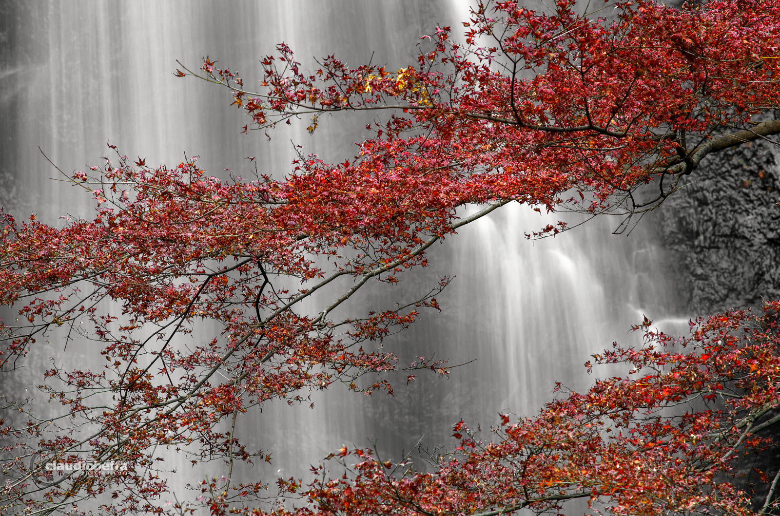 Red Momiji Minoh Waterfalls Autumn Osaka Japan