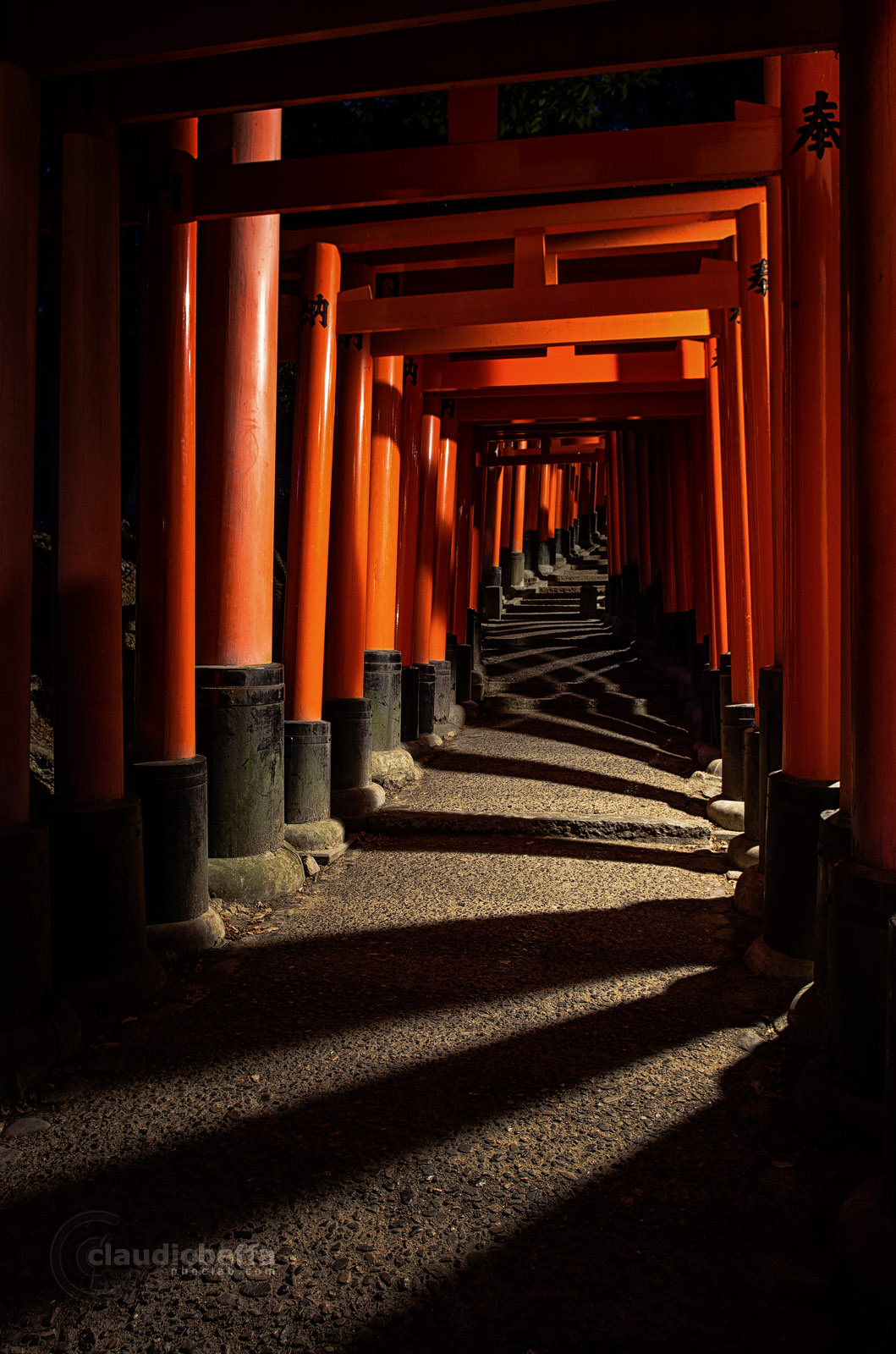 Kyoto Fushimi Inari Taisha Shrine Night Path Lights Shadows