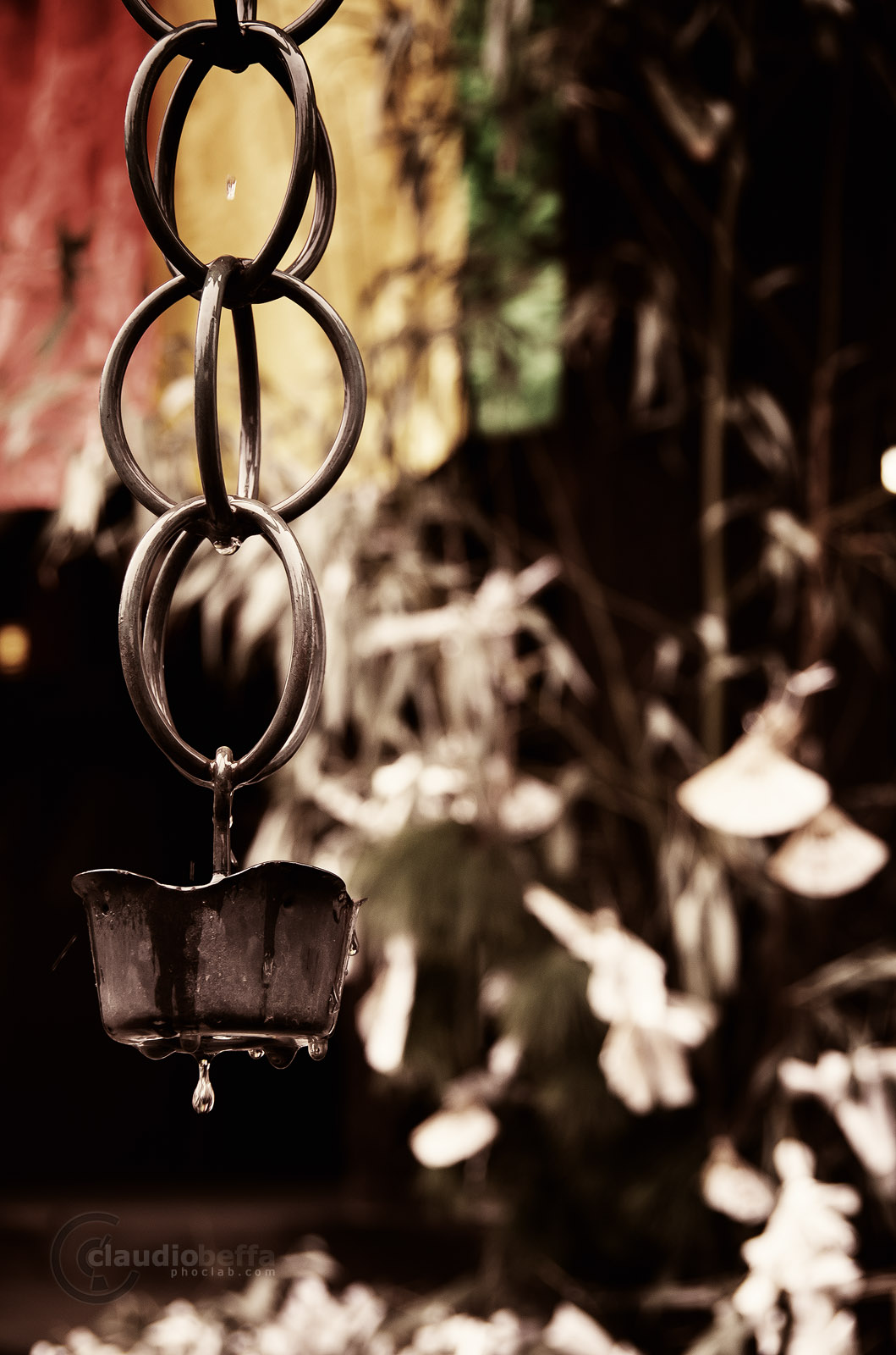 Water chain Kusaridoi rain drip temple Japan Pentax