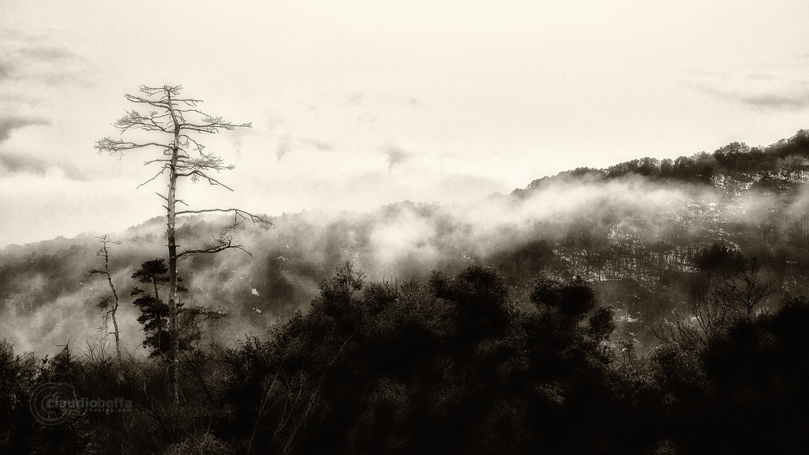 Japan Landscape Sumi-e Painting Fog Snow Tree Forest Mountain Pentax