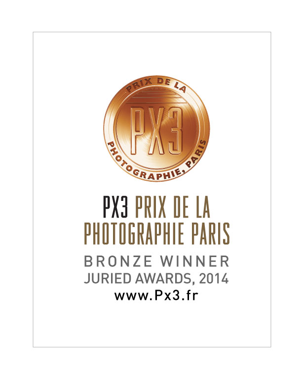 PX3 awards bronze winner