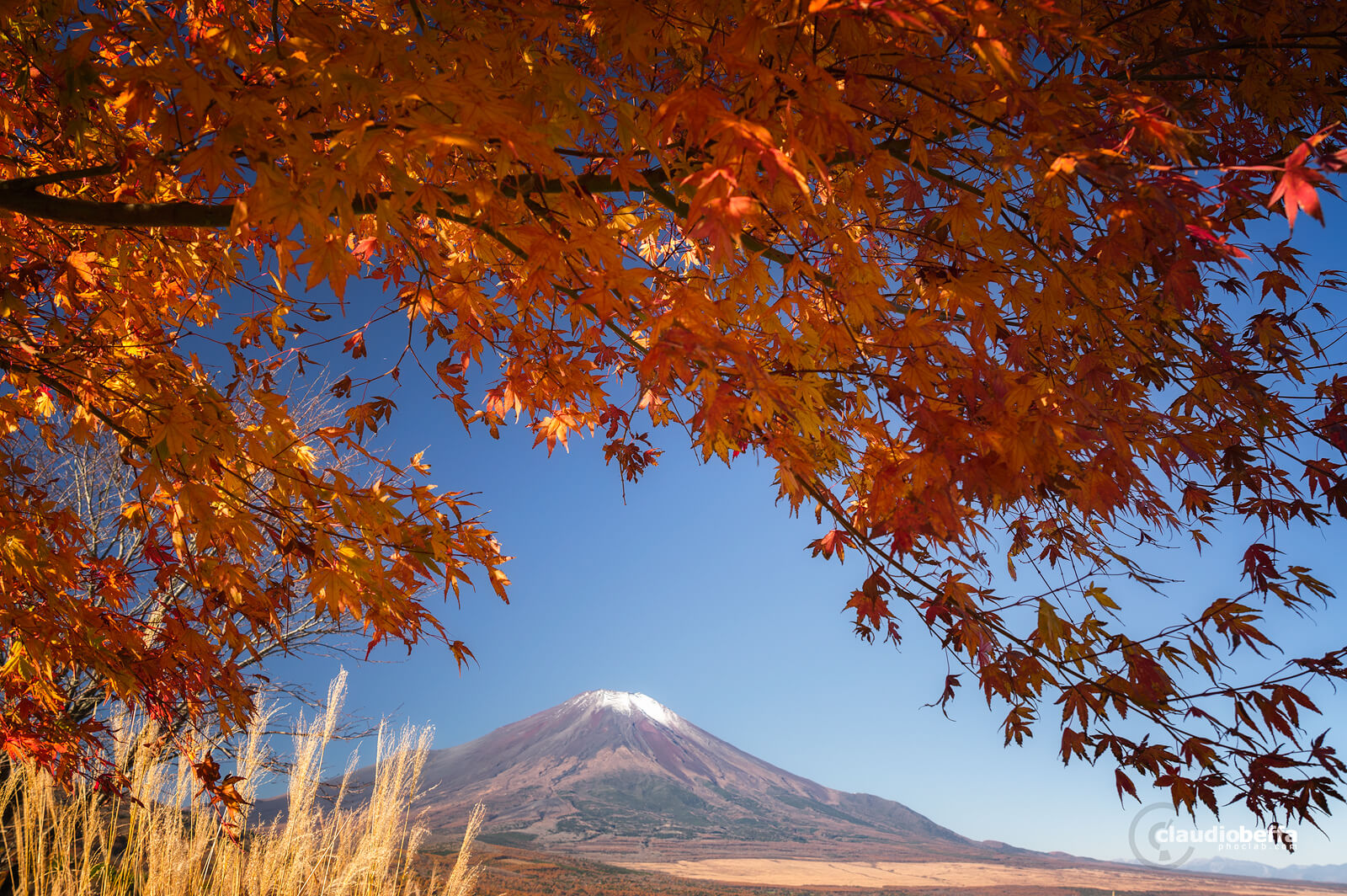 Mount Fuji, Fuji, Japan, Chubu, autumn, autumn wonderland, fall, momiji, susuki, red, orange, travel, phoclab