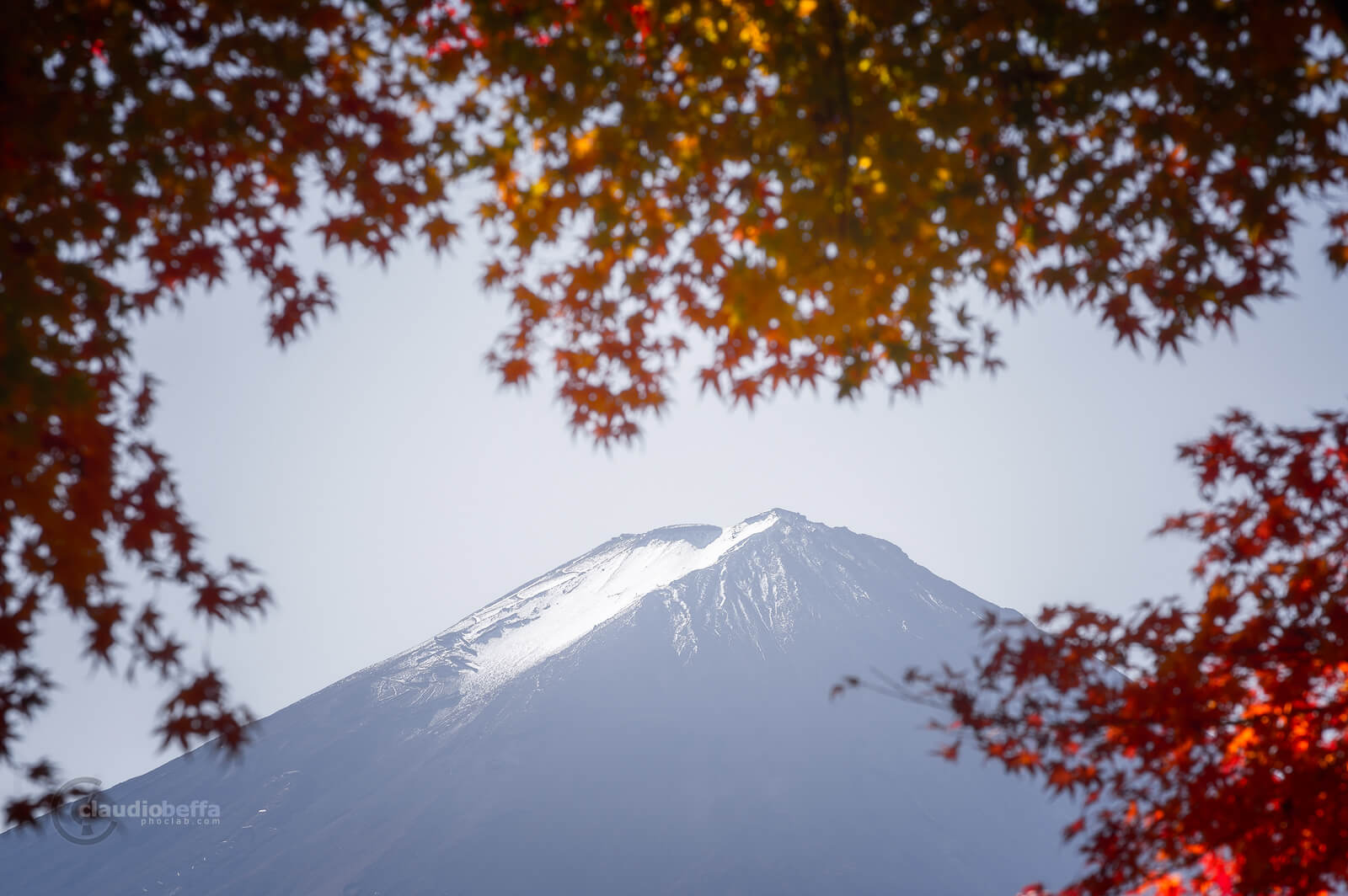 Mount Fuji, Fuji, Japan, Chubu, autumn, fall, momiji, Kawaguchiko, red, snow, Fuji peak, travel, phoclab