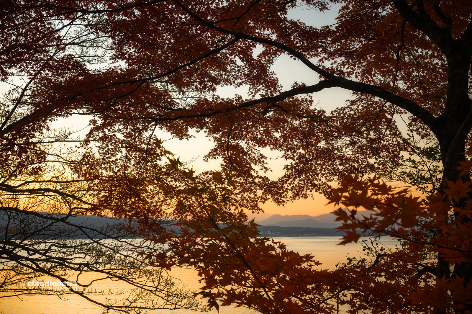 Mount Fuji, Fuji, autumn, fall, Momiji, red, leaves, trees, twilight, lake, lake yamanaka, travel, photography, phoclab