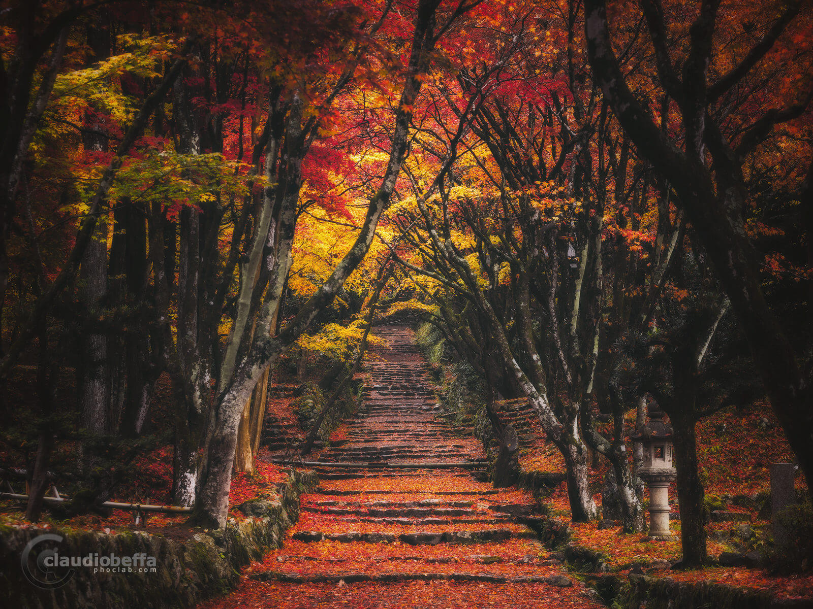 path to the forbidden forest, Shrine, Forest, Momiji, Autumn, Japan, Nature, Travel